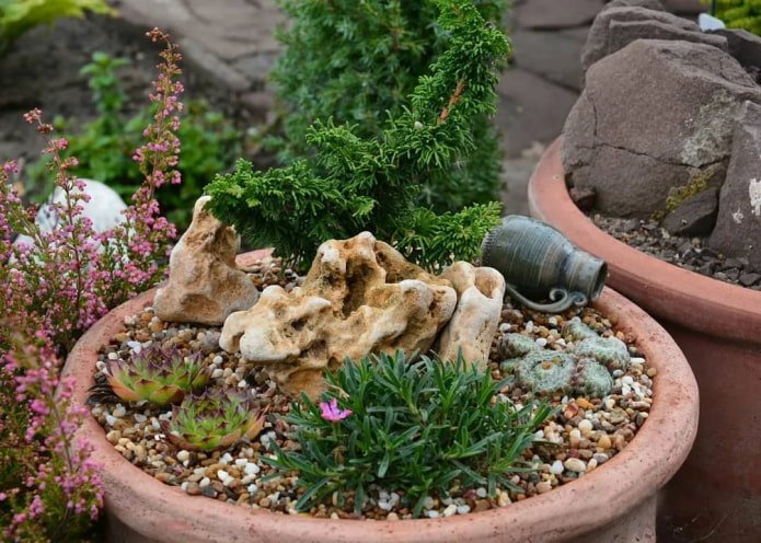 Jardim de pedras em vaso