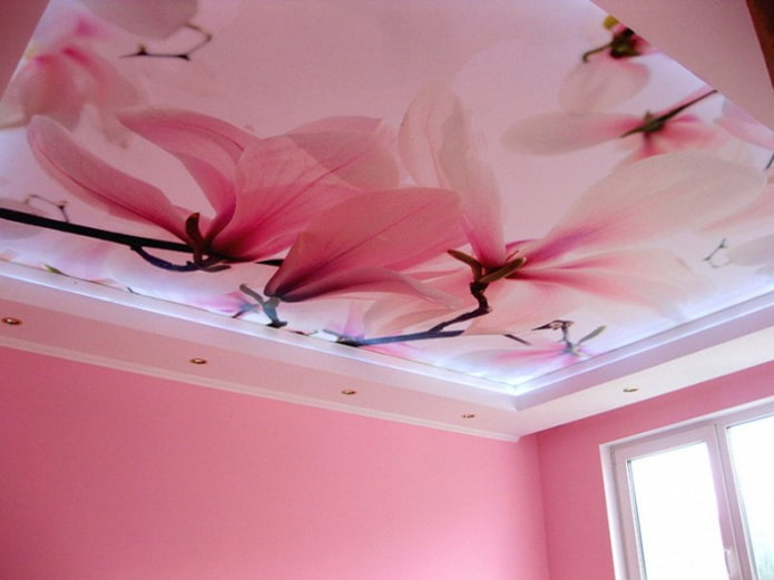 estrutura de teto rosa com impressão de fotos