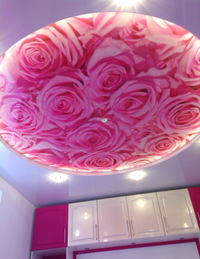 impressão de fotos nas rosas do teto