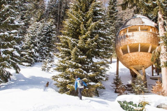 casa pinha nos Alpes