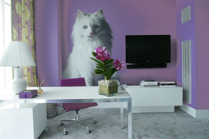 gato na parede do escritório