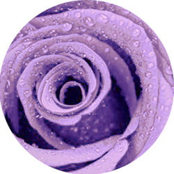 papel de parede 3D
