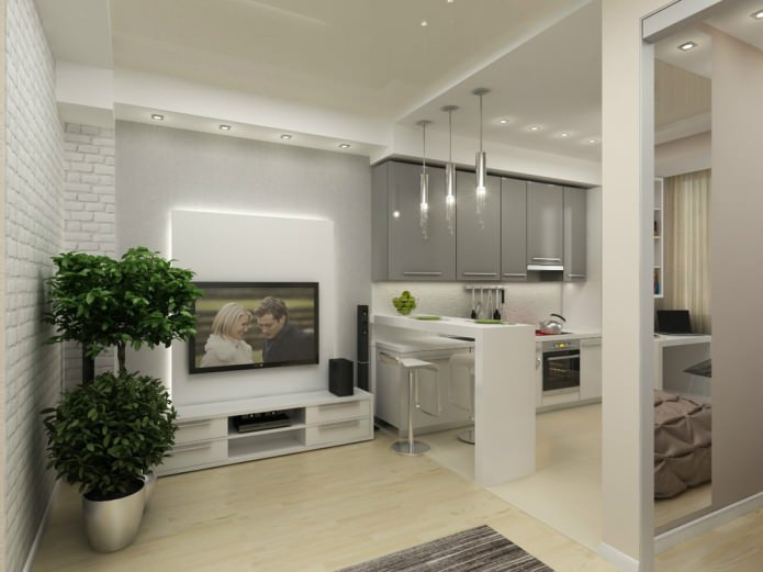 projeto de um apartamento de um cômodo de 45 m².