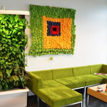Estilo ecológico em design de interiores-11