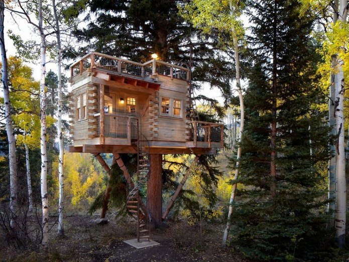 Casas modernas em estilo ecológico