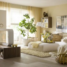 Estilo ecológico em design de interiores-4