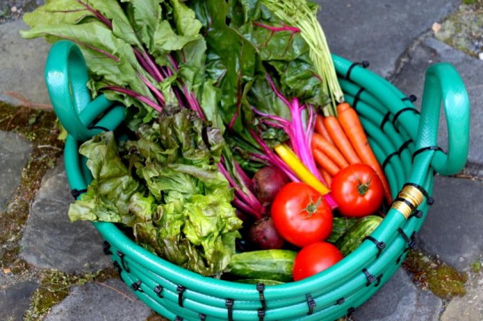 cesta com vegetais