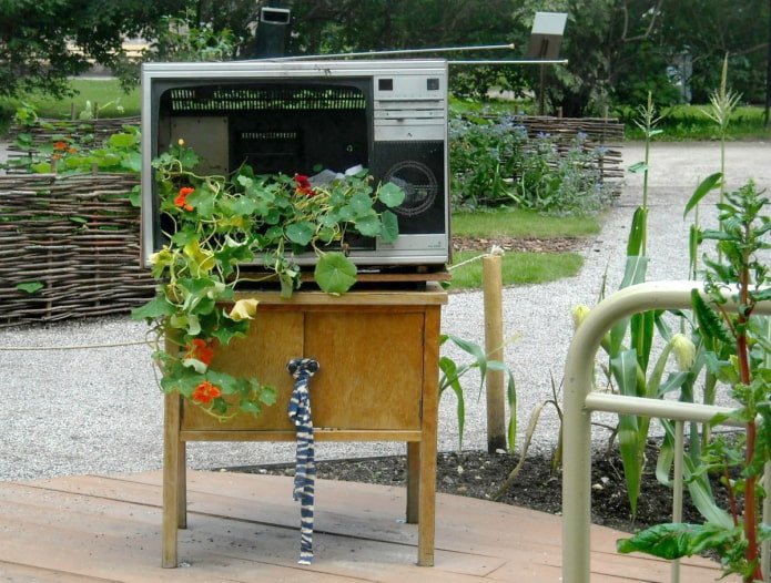 Canteiro de flores de uma TV antiga