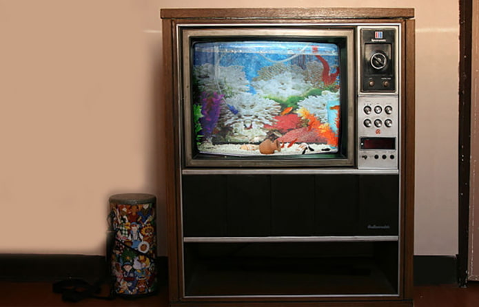 Aquário da TV