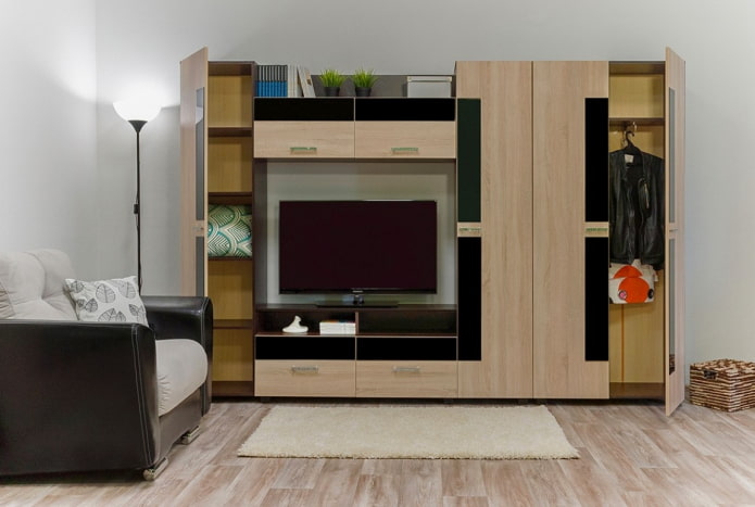 parede para roupas na sala de estar