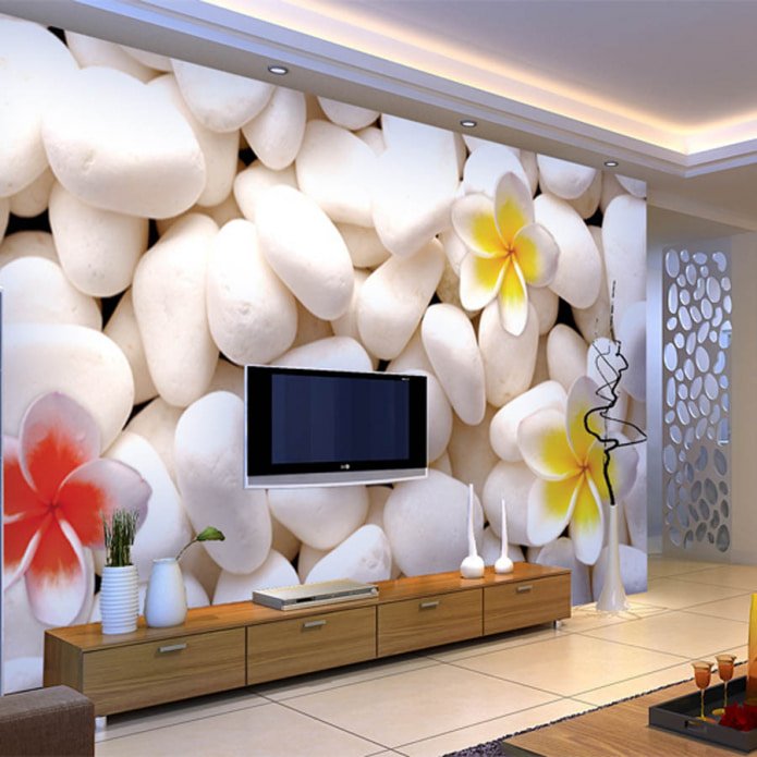 Papel de parede fotográfico na sala de estar