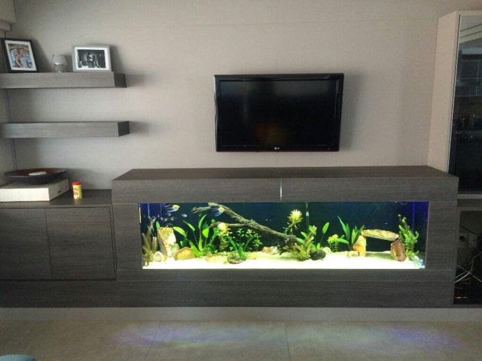 TV na parede com um aquário na sala de estar