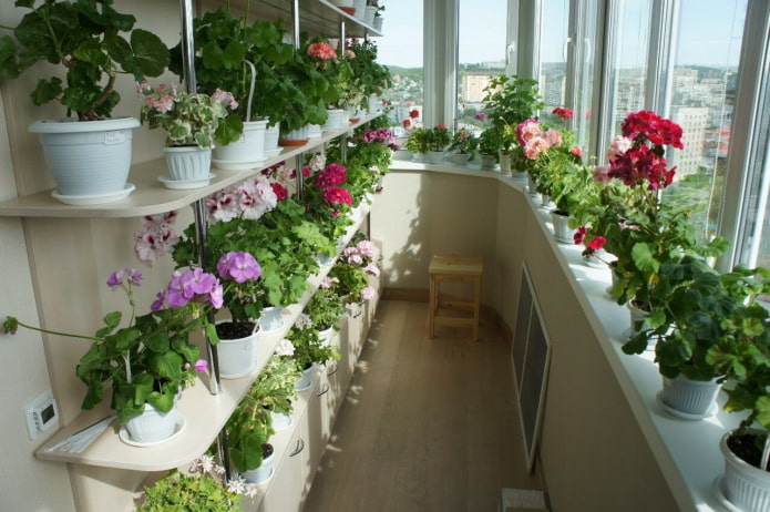 prateleiras para flores na varanda