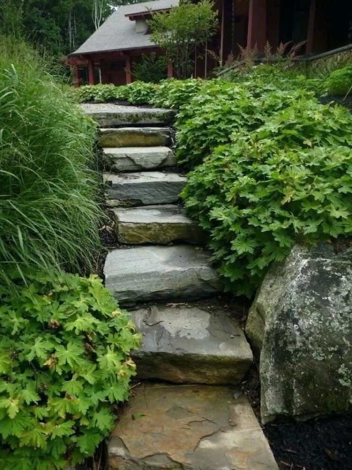escadas de pedra no jardim
