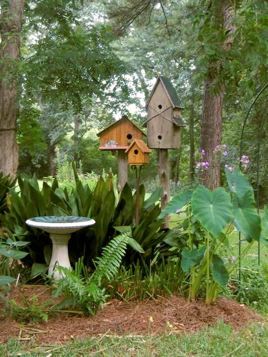 Casas de passarinho no jardim