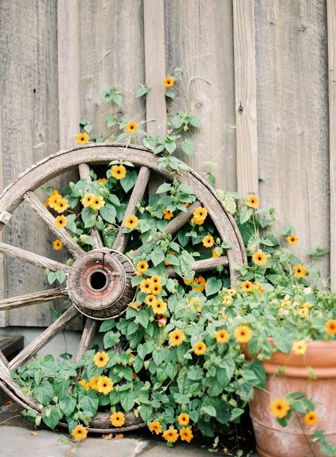 Roda com flores