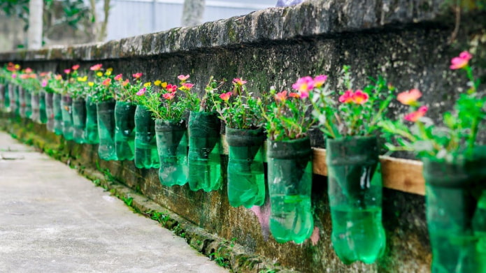 Canteiro de flores em uma cerca feita de garrafas