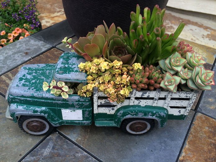Vaso de plantas infantil