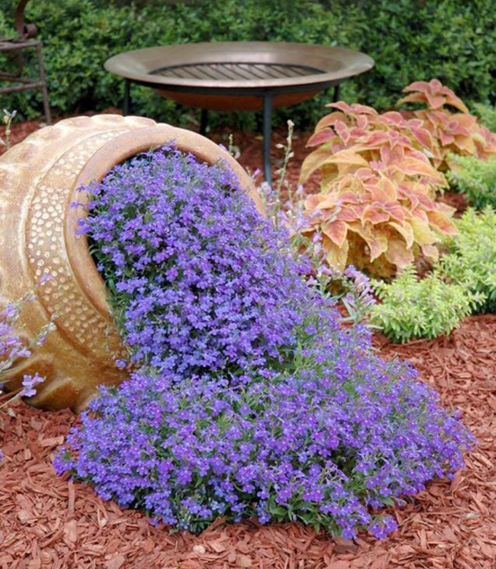 Decorações de flores e jarras