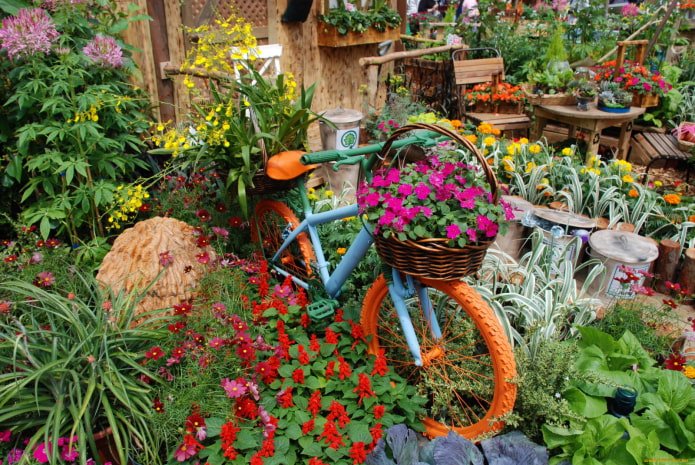 Bicicleta em flores