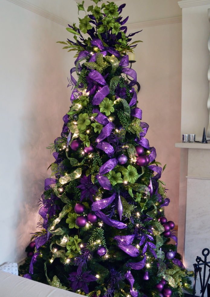 Abeto roxo e verde
