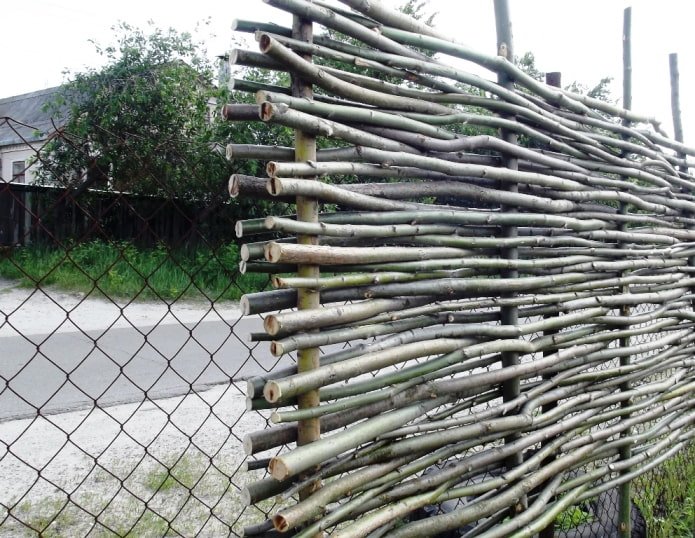 galhos em uma cerca de arame