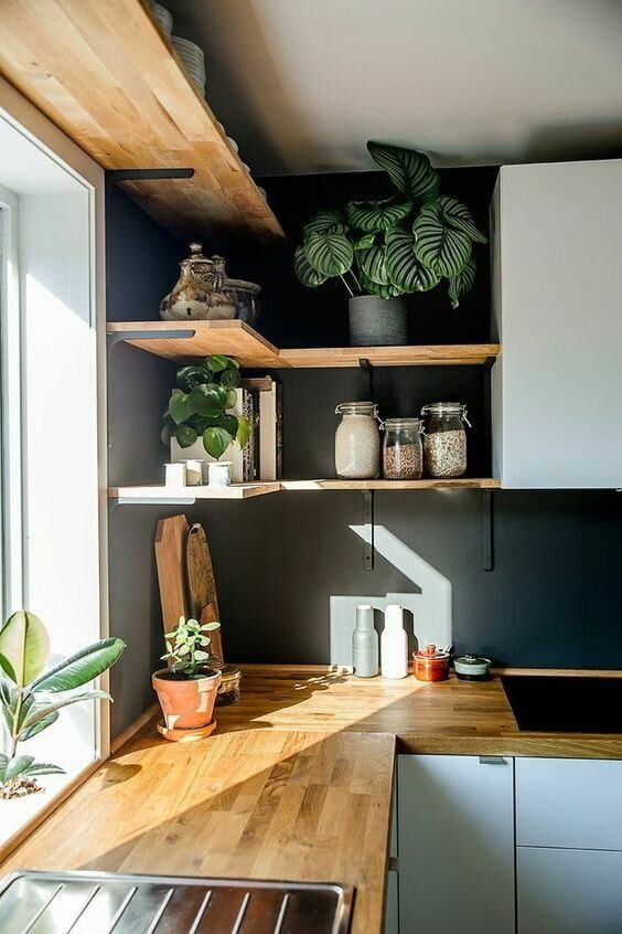 Planta de casa