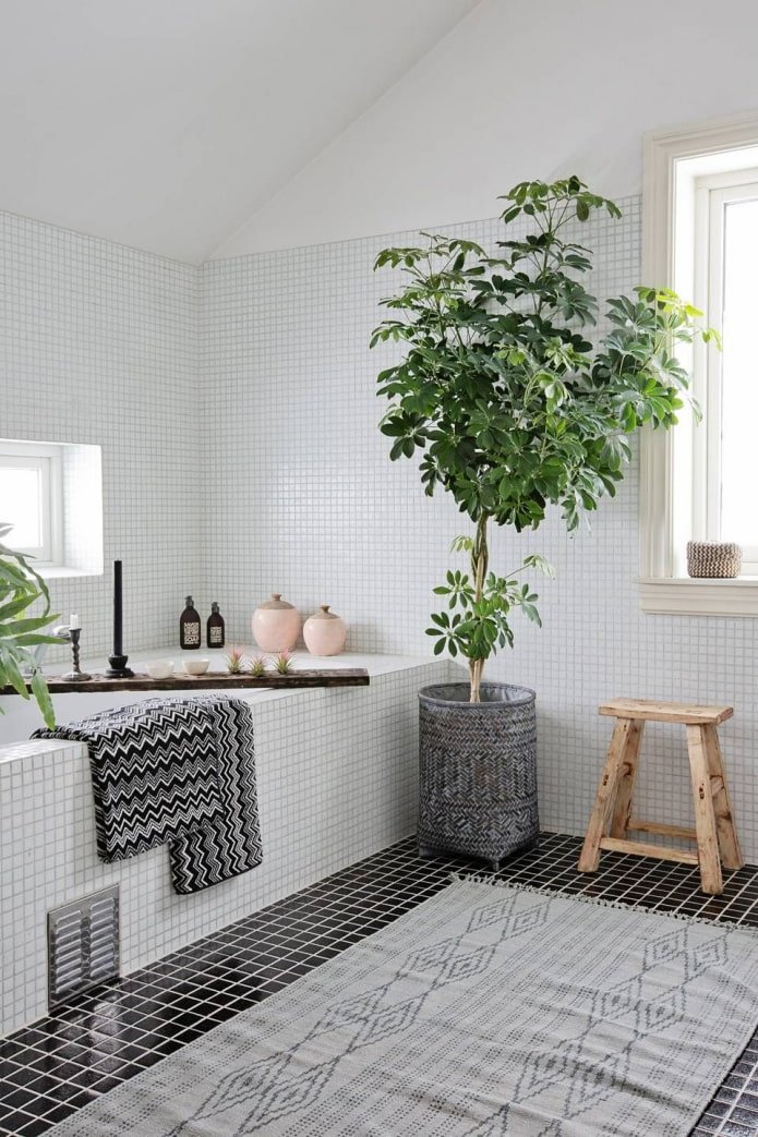 Plantas no banheiro