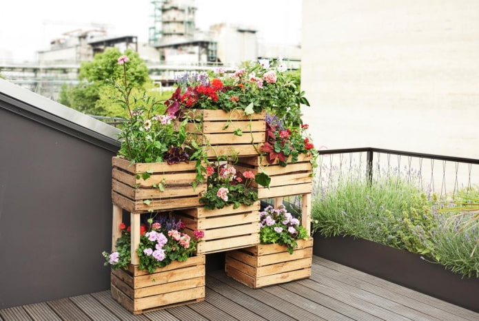 Canteiro de flores feito de caixas com plantas suspensas