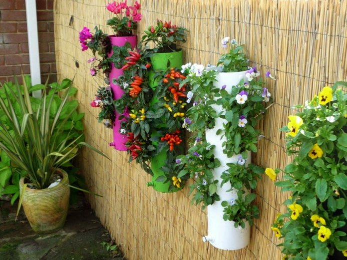 Canteiros de flores na cerca