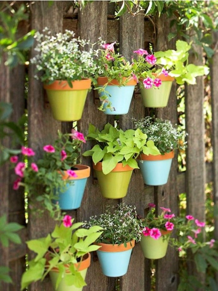 Vasos de flores em uma cerca