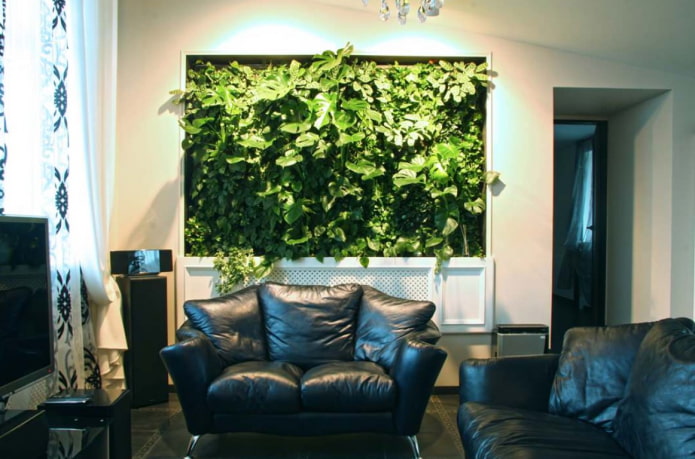 plantas verdes verticais na sala de estar