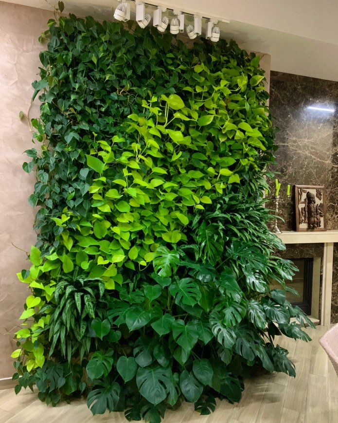 parede verde na casa