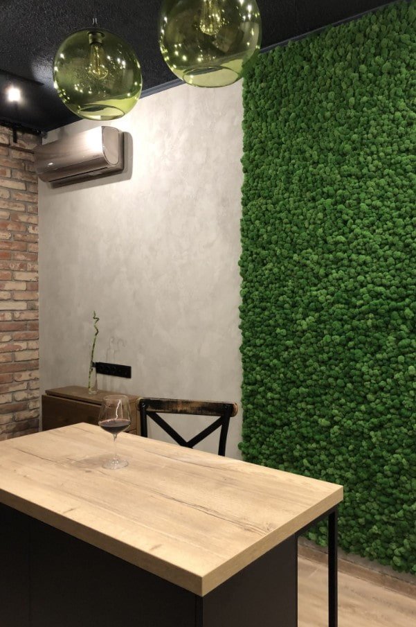 plantas na cozinha