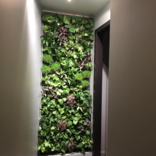 Como fazer jardinagem vertical no interior?-0