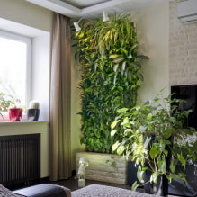 Como fazer jardinagem vertical no interior? -3