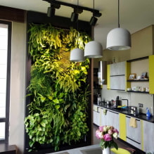 Como fazer jardinagem vertical em o interior?-2