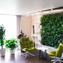 Como fazer jardinagem vertical no interior? -5
