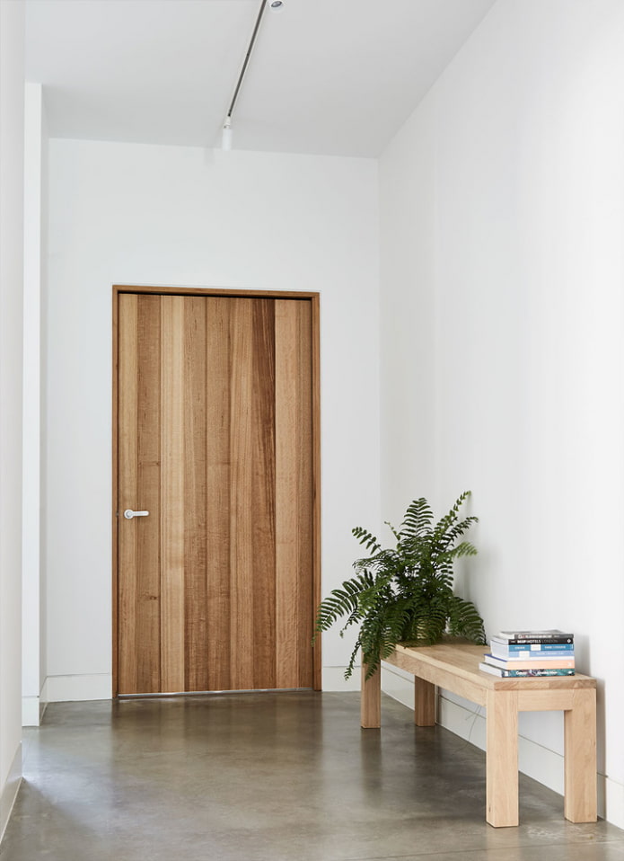 modelo de porta de entrada em estilo minimalista