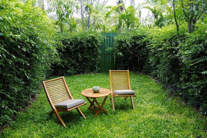 sala verde no jardim
