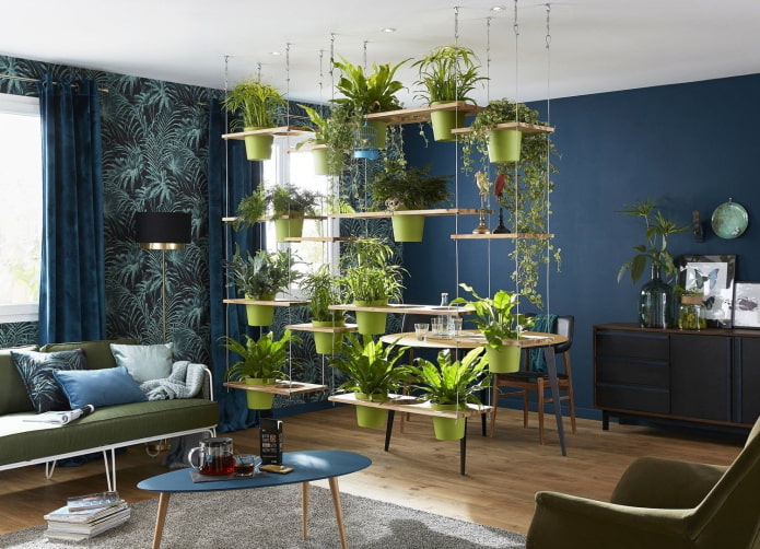 plantas como divisória